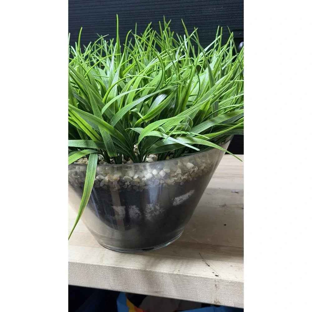 Artificial Grass Plant in Glass Pot Faux‎ Green Decor ~12